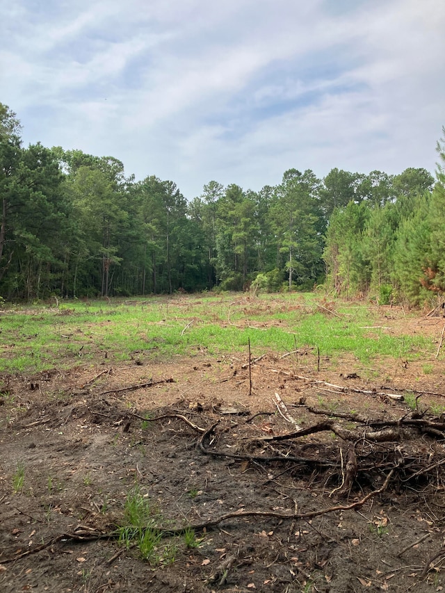 0 Mizell Rd, Dorchester SC, 29437 land for sale