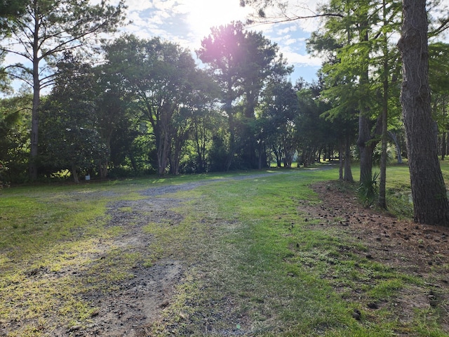 Listing photo 2 for 7997 Doar Rd Lot C-1, Awendaw SC 29429