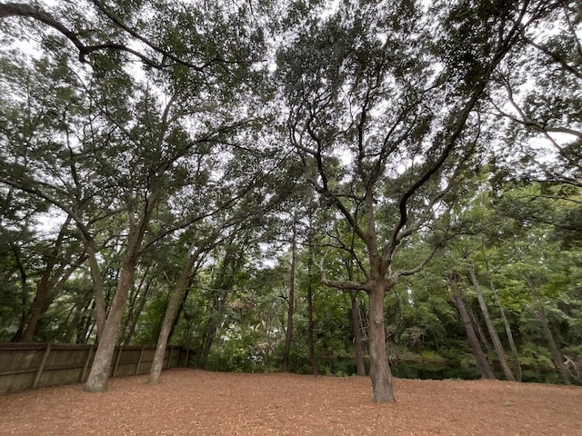 view of local wilderness with a wooded view