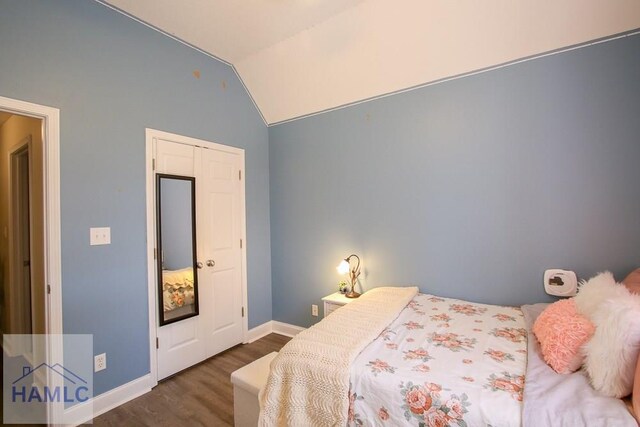 4800 Bay Branch Church Rd, Claxton, GA 30417 - bedroom featuring wood finished floors, lofted ceiling, and baseboards