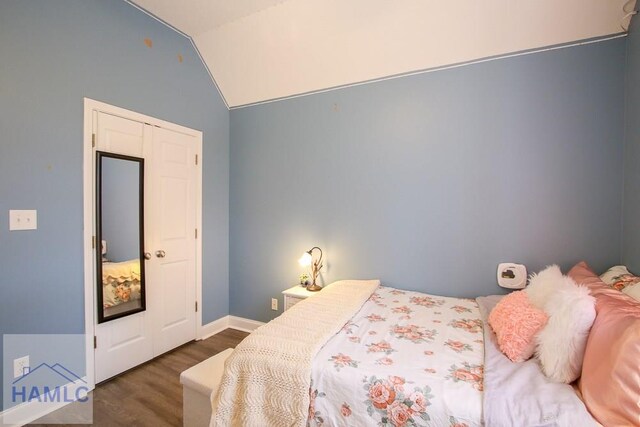 4800 Bay Branch Church Rd, Claxton, GA 30417 - bedroom with wood finished floors, vaulted ceiling, and baseboards
