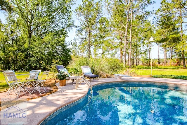 4800 Bay Branch Church Rd, Claxton, GA 30417 - outdoor pool with a patio area and a yard