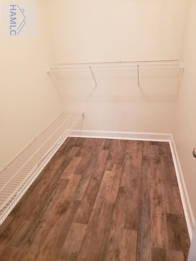 walk in closet featuring wood finished floors