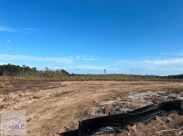 0 Rye Patch Rd NE, Hinesville GA, 31313 land for sale