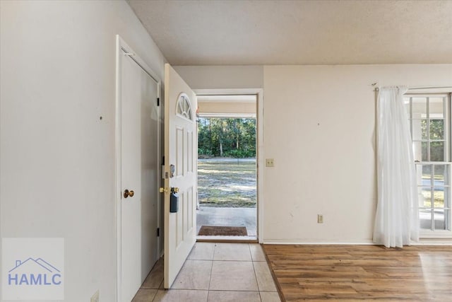 foyer featuring plenty of natural light and light wood-type flooring