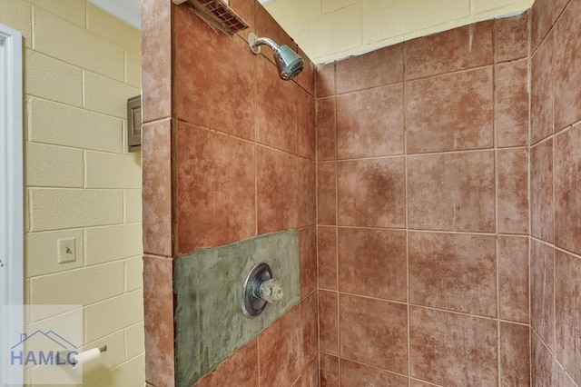 room details with tiled shower