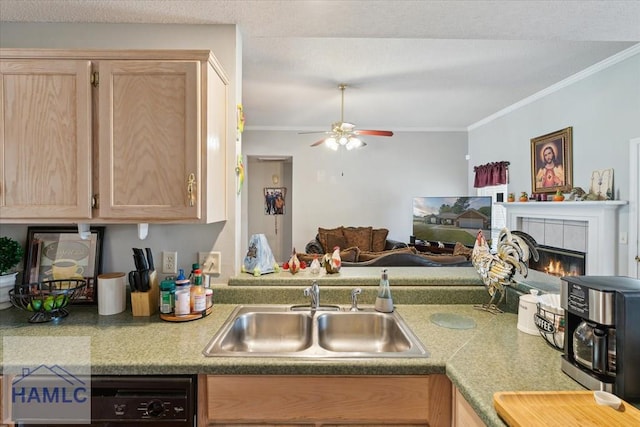 kitchen featuring crown molding, a ceiling fan, a sink, and light brown cabinets