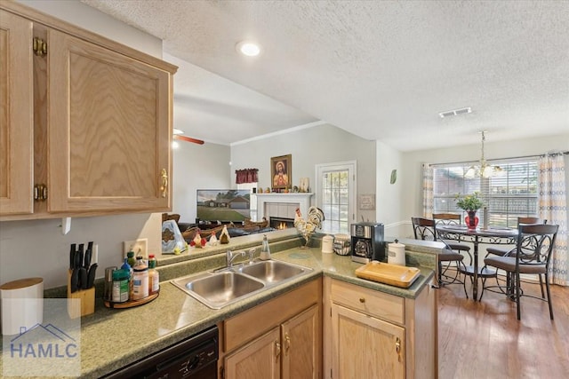 kitchen with light brown cabinetry, a sink, a textured ceiling, wood finished floors, and visible vents