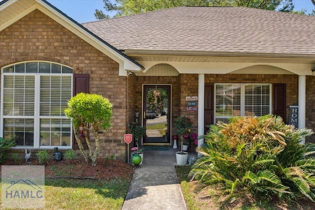 doorway to property featuring covered porch, brick siding, and roof with shingles
