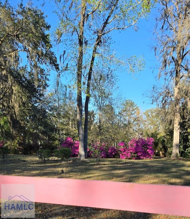86 Hidden Dr, Midway, GA 31320 - view of yard