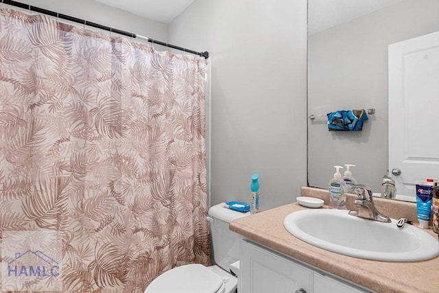 bathroom with toilet and vanity