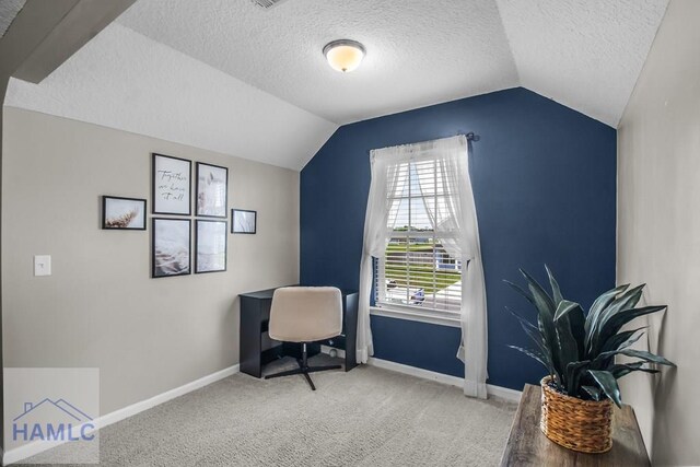 26 Sunflower Cir, Ludowici, GA 31316 - office featuring lofted ceiling, a textured ceiling, carpet flooring, and baseboards