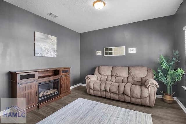 26 Sunflower Cir, Ludowici, GA 31316 - living room with wood finished floors, baseboards, a glass covered fireplace, and a textured ceiling