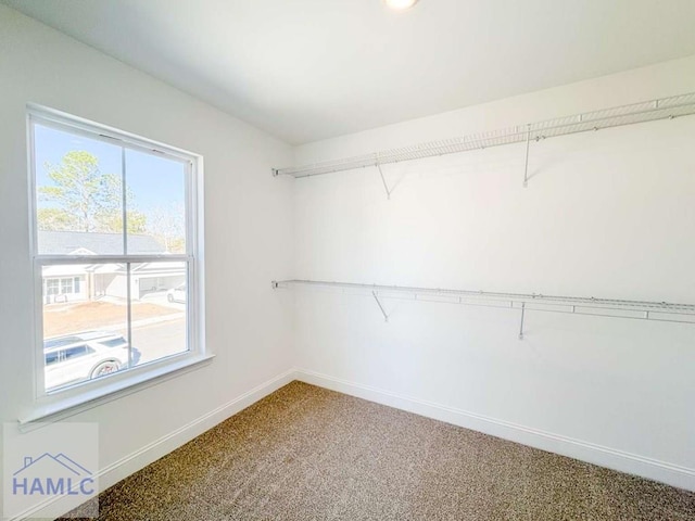 spacious closet with carpet flooring