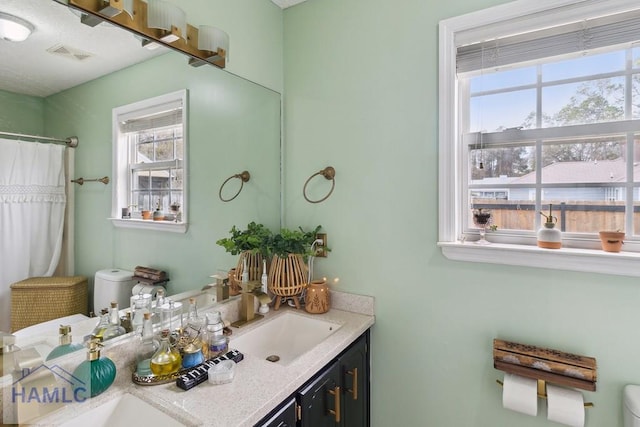 bathroom featuring vanity, toilet, and plenty of natural light