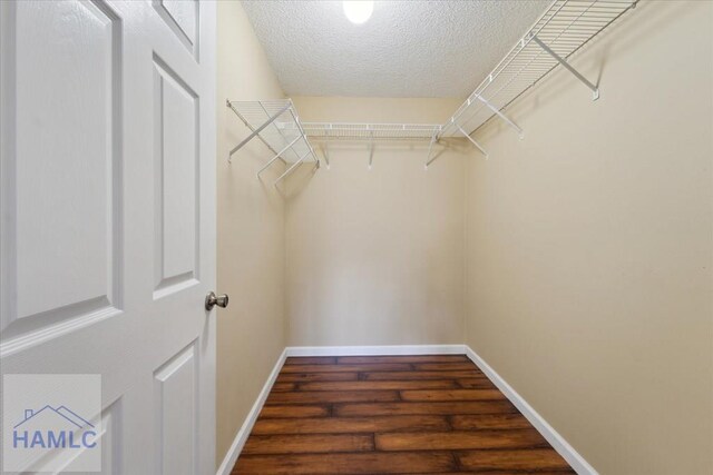 spacious closet featuring wood finished floors