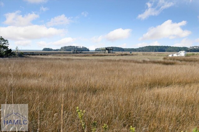 view of local wilderness with a rural view
