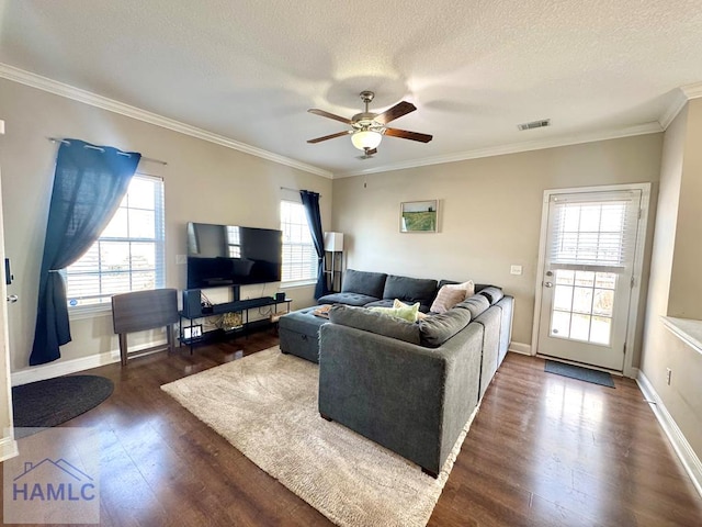 living room with ceiling fan, ornamental molding, dark hardwood / wood-style floors, and a textured ceiling