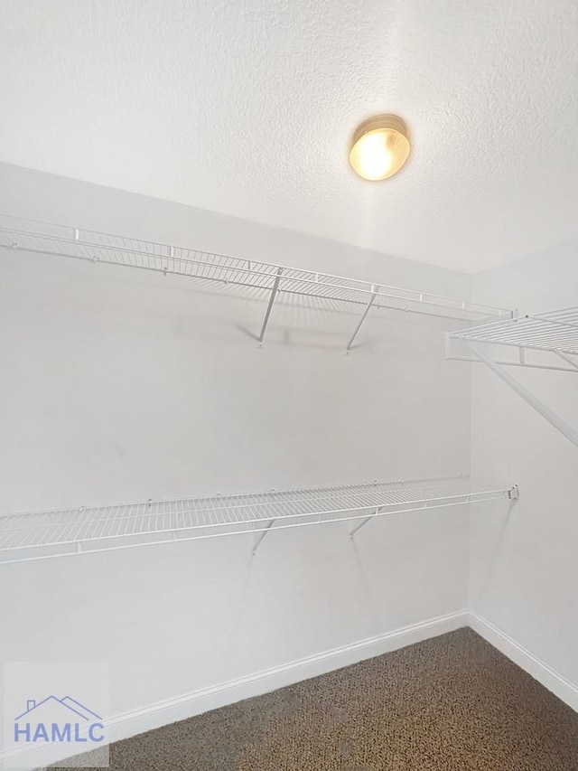 walk in closet featuring carpet flooring