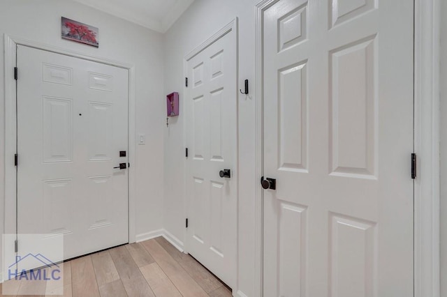 entryway with light wood-type flooring