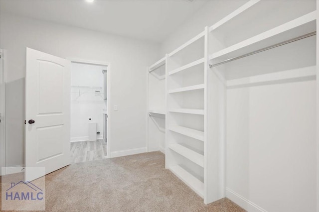 walk in closet featuring carpet floors