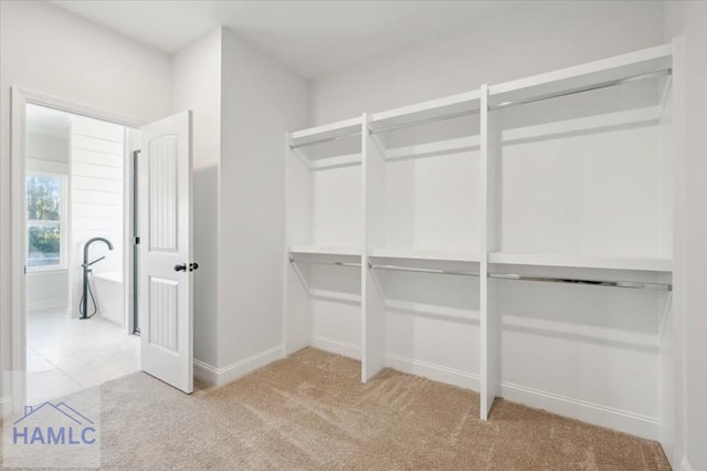 walk in closet with light carpet