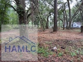 0 Tideland Dr, Midway, GA 31320