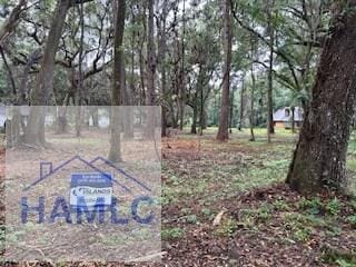 0 Tideland Dr, Midway, GA 31320