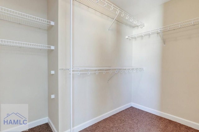 walk in closet featuring carpet