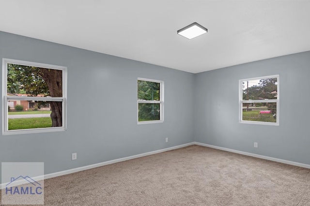 654 Mcdowell Rd, Hinesville, GA 31313 - empty room featuring healthy amount of natural light, carpet floors, and baseboards