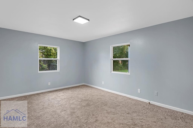 654 Mcdowell Rd, Hinesville, GA 31313 - carpeted spare room with healthy amount of natural light and baseboards