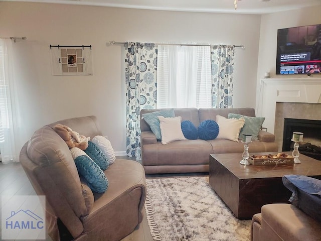 living room featuring a fireplace