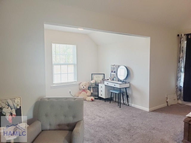 living area featuring carpet floors