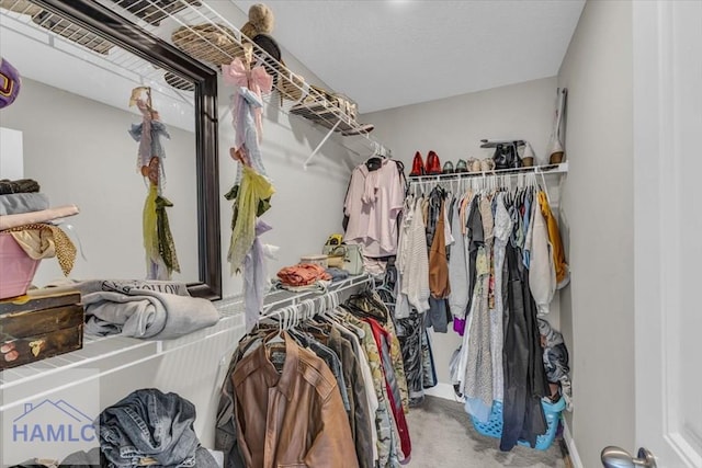 732 Waterlily Ct, Hinesville, GA 31313 - spacious closet with carpet floors
