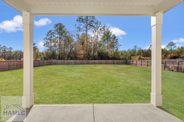 view of yard with a fenced backyard