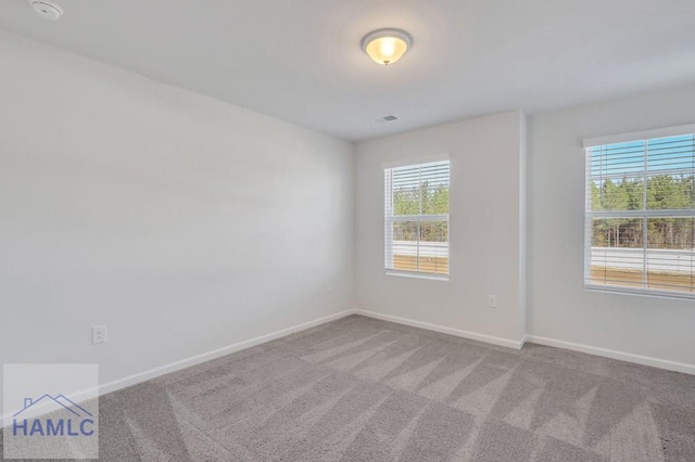 spare room featuring baseboards, carpet flooring, and a healthy amount of sunlight