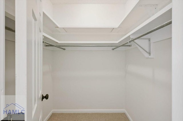 301 Marsh View Dr, Richmond Hill, GA 31324 - walk in closet with carpet flooring