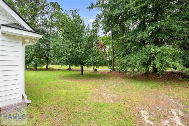 301 Marsh View Dr, Richmond Hill, GA 31324 - view of green lawn