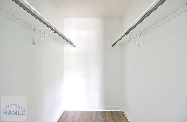 walk in closet with dark wood-type flooring