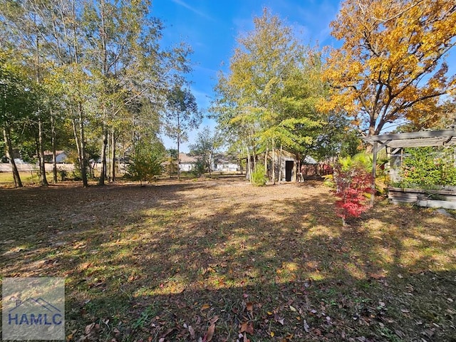 view of yard featuring a shed and a pergola