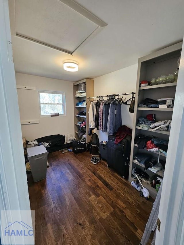 walk in closet with dark hardwood / wood-style floors