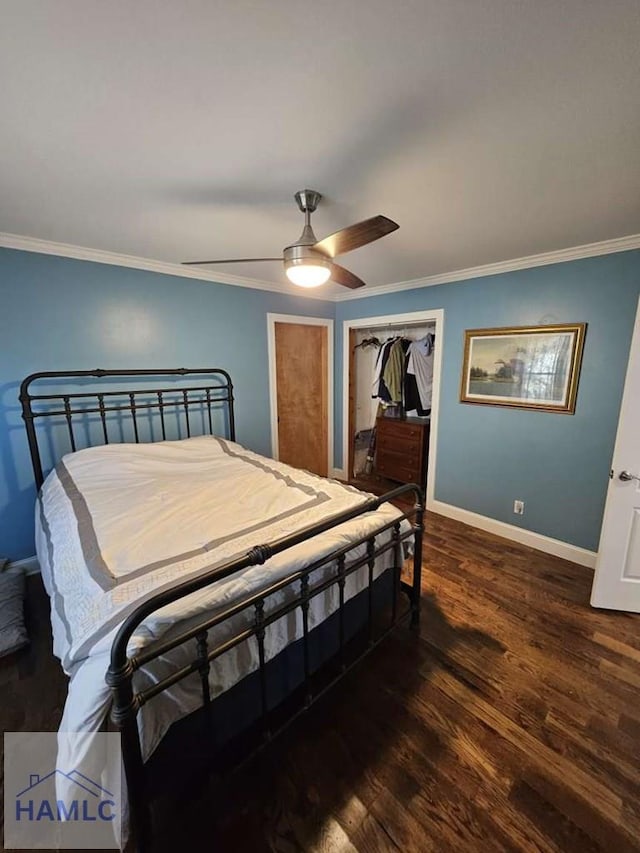 bedroom with ceiling fan, a closet, dark hardwood / wood-style floors, and ornamental molding