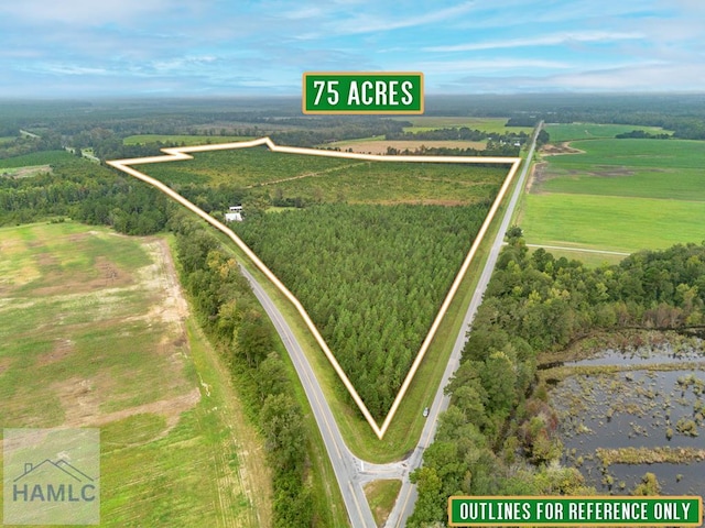 birds eye view of property featuring a rural view