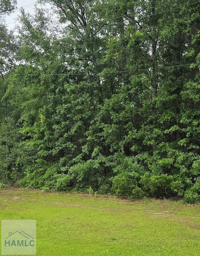 5750 Coastal Hwy, Riceboro, GA 31323