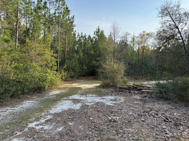 Listing photo 2 for 1139 Henry Walcott Rd, Ludowici GA 31316