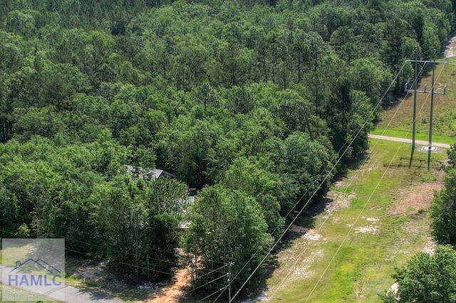 26 Cason Rd, Pembroke, GA 31321 - aerial view of a forest