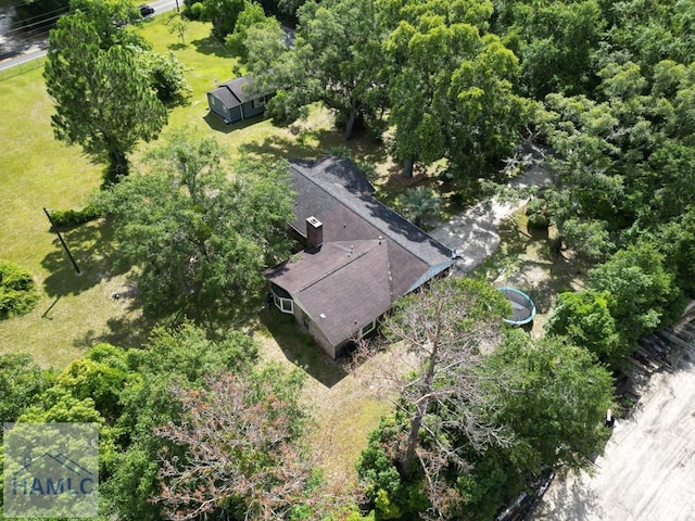 455 N Mahogany St, Jesup, GA 31546 - aerial view of property and surrounding area