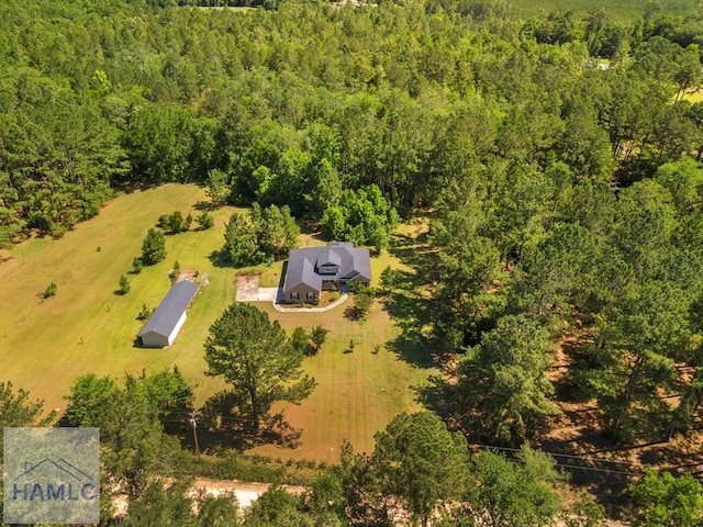 791 Stafford Dairy Rd SE, Ludowici, GA 31316 - aerial view of property and surrounding area with a forest