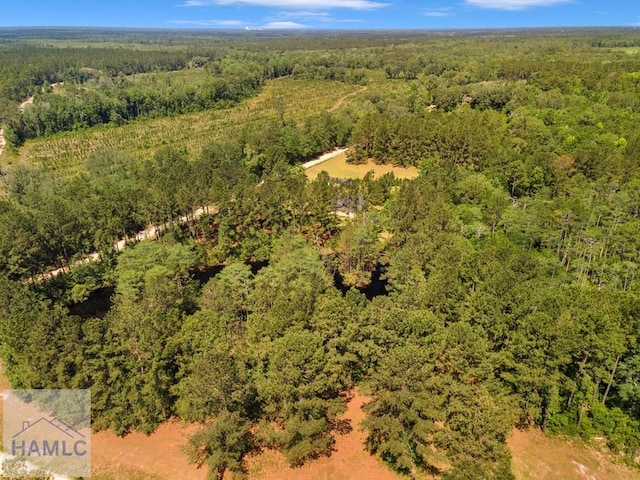 791 Stafford Dairy Rd SE, Ludowici, GA 31316 - aerial view of a heavily wooded area