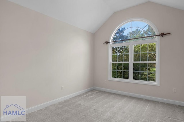 791 Stafford Dairy Rd SE, Ludowici, GA 31316 - empty room featuring lofted ceiling, baseboards, and light carpet
